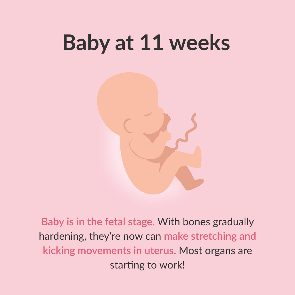 (MY Journey) Weekly Pregnancy Journal for Moms and Babies: Week 11 ...
