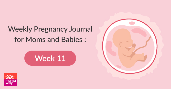 (MY Journey) Weekly Pregnancy Journal for Moms and Babies: Week 11 ...